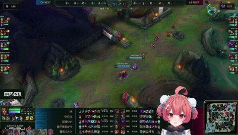 マルモの胃袋