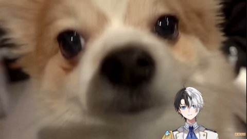 PDはばかすぎて負けてたけど筋肉ムキムキ