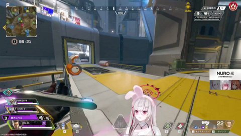 理由は