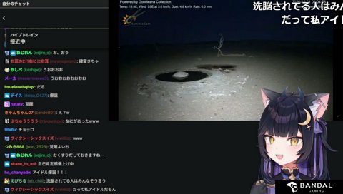 よいち「歌とか〇とか出そうかな」