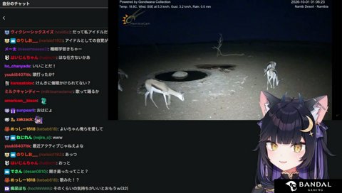 (年齢)は効果的だったよいち