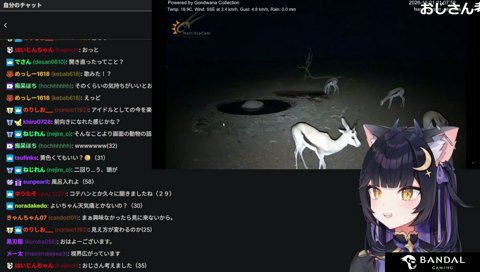 アラサーの皮を被ってないアイドルもどき爆誕