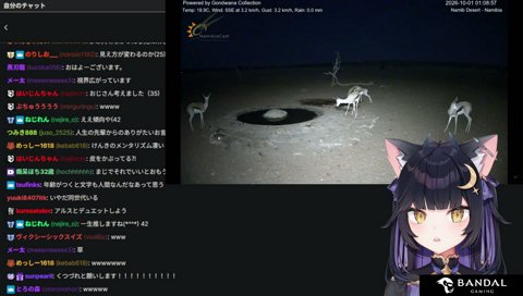 アイドルだしやってみたいこと