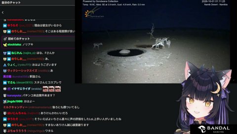 女性ファンも可愛く見えたアイドルよいち
