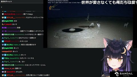 アイドルになるべきだったのかなって